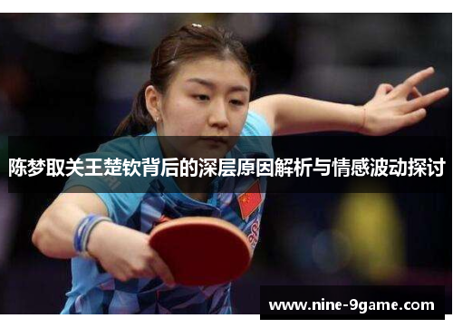 陈梦取关王楚钦背后的深层原因解析与情感波动探讨