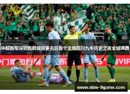 中超新军深圳新鹏城迎更名后首个主场四川九牛历史之夜全城沸腾 中超新军深圳新鹏城迎更名后首个主场四川九牛历史之夜全城沸腾
